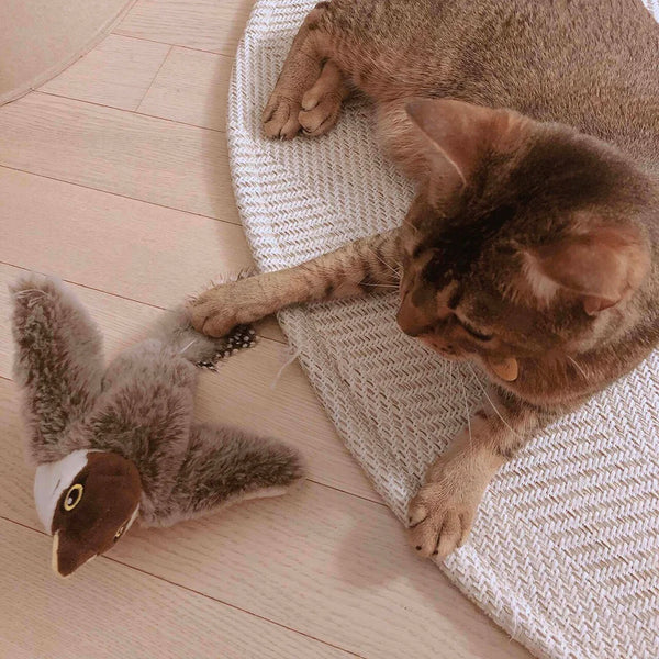 Dansende Vogel Katten Speelgoed