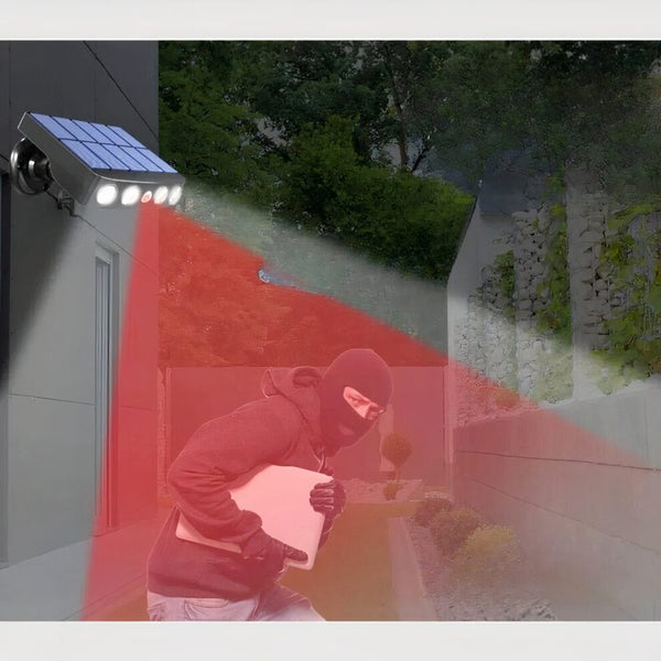Buiten Solar Bewegingslamp