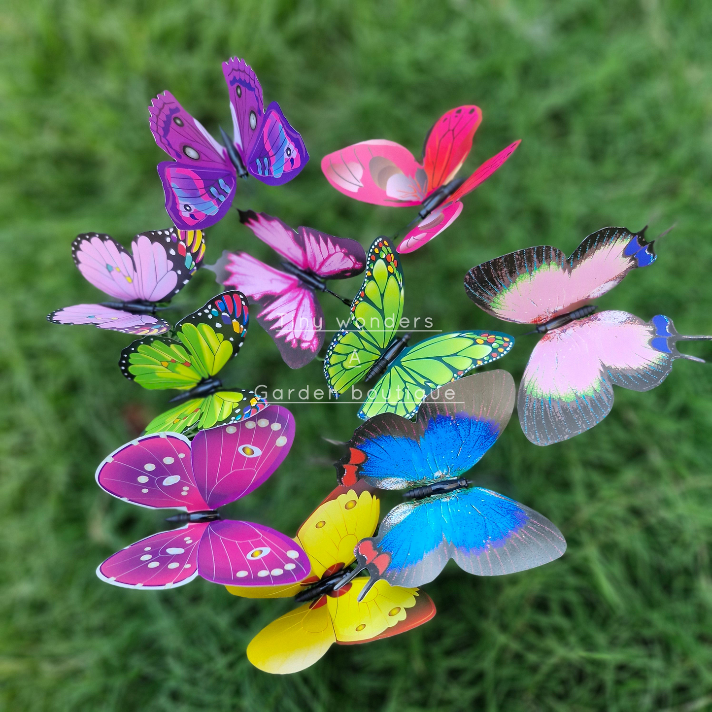 Miniatuur Super Grote Vlinders