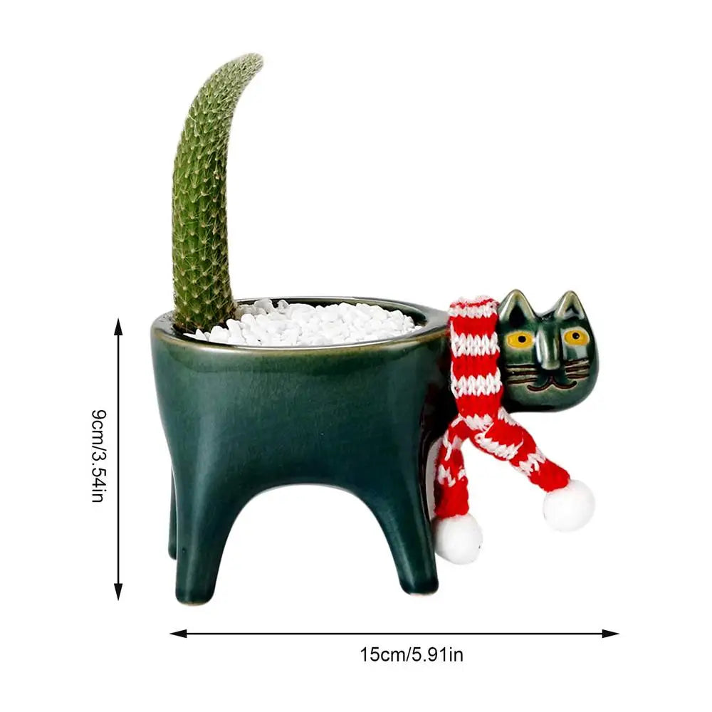 Kattenstaart Bloempot