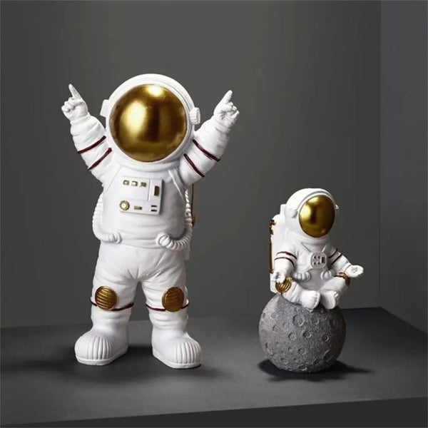 Astronaut Ruimtevaart Naar de Maan