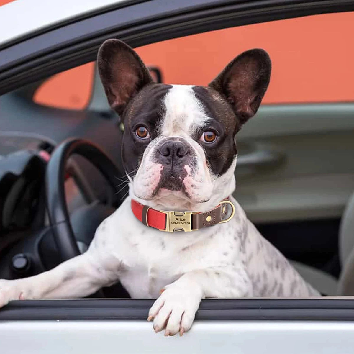 Halsband Mila | Personaliseerbaar Naamplaatje