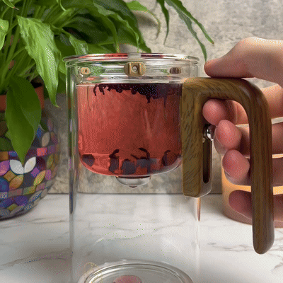 Theepot Glas Met Houten Handvat en Filter