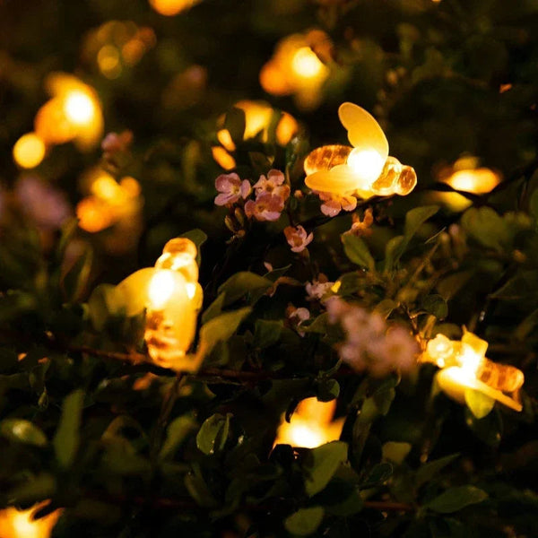 Zonnestraal Feestverlichting