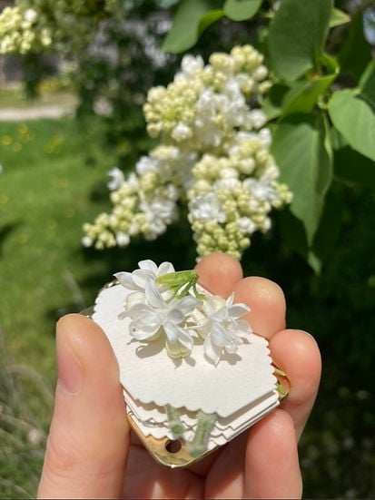 Mini Bloemenpers | Compacte Botanische Aandenkenmaker | Draagbaar Knutselgereedschap