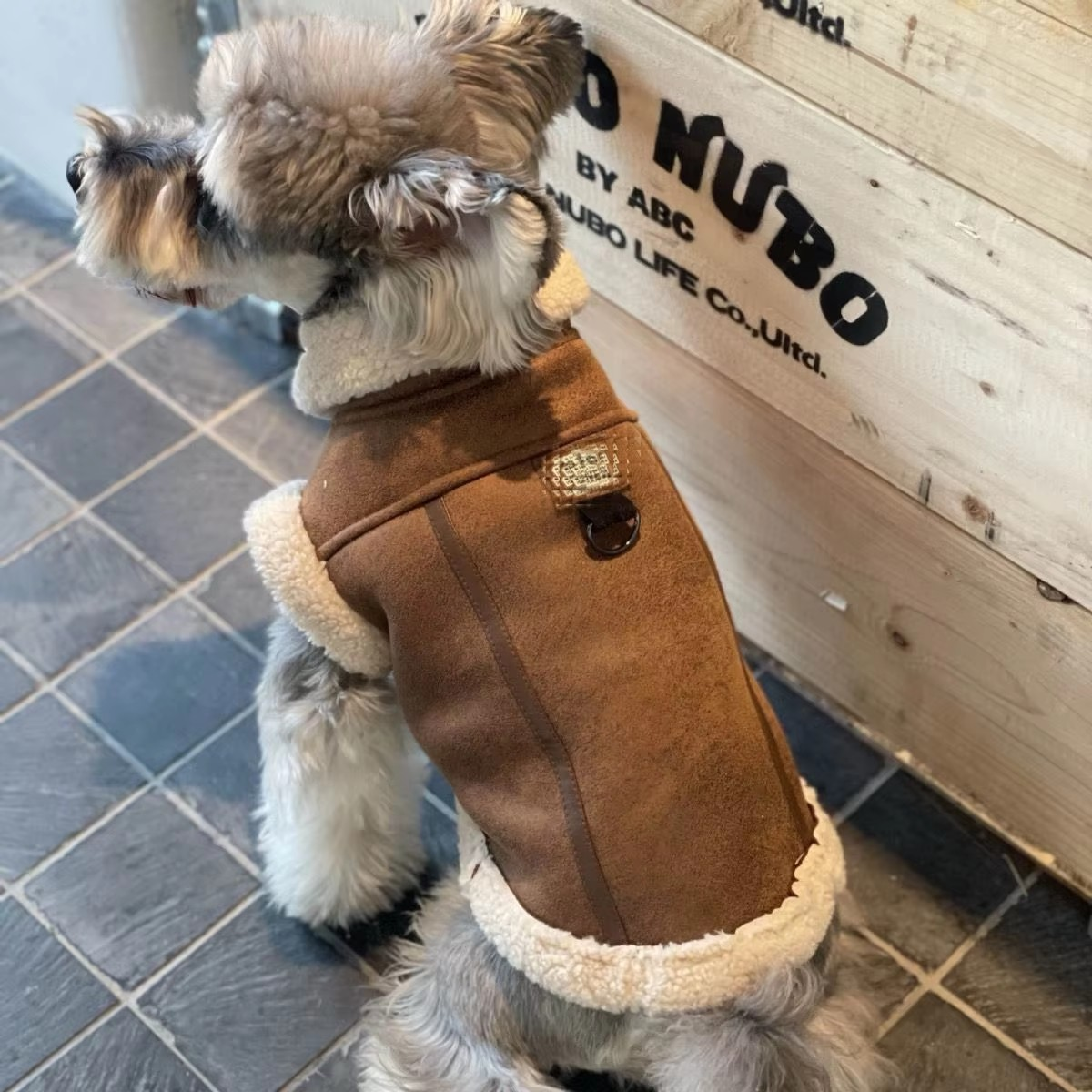 Warme Winddichte Hondenjas Kat voor Winterdagen