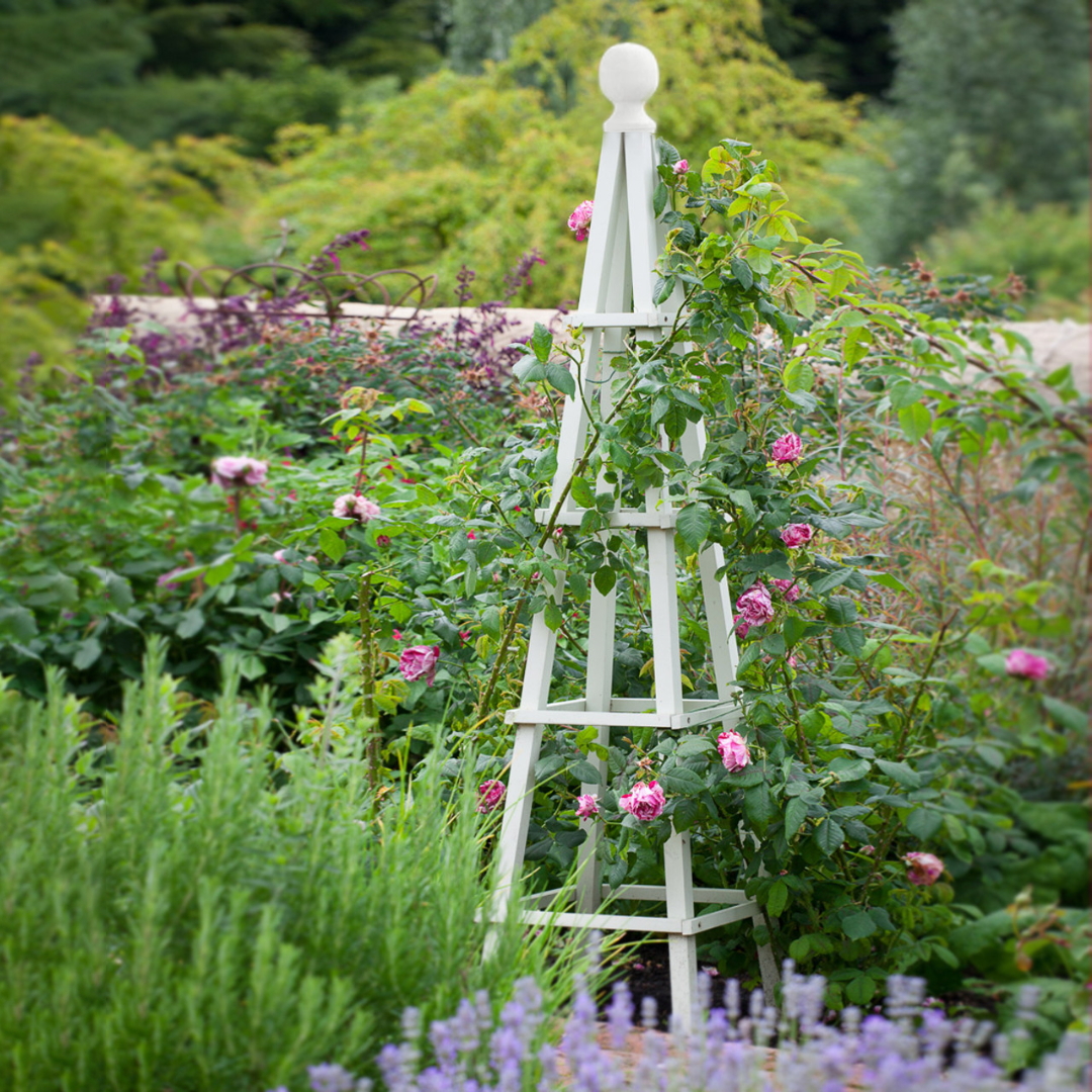 Grote Tuin Salie Obelisk Buitenboog Zware Duurzame Sterke Houten Plantenkooi