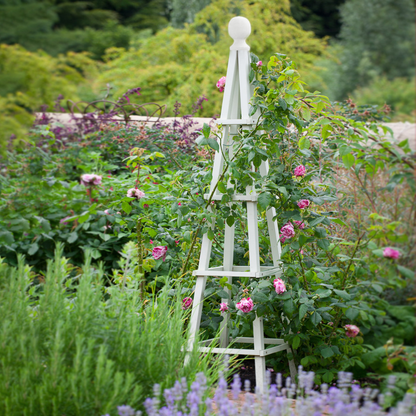 Grote Tuin Salie Obelisk Buitenboog Zware Duurzame Sterke Houten Plantenkooi