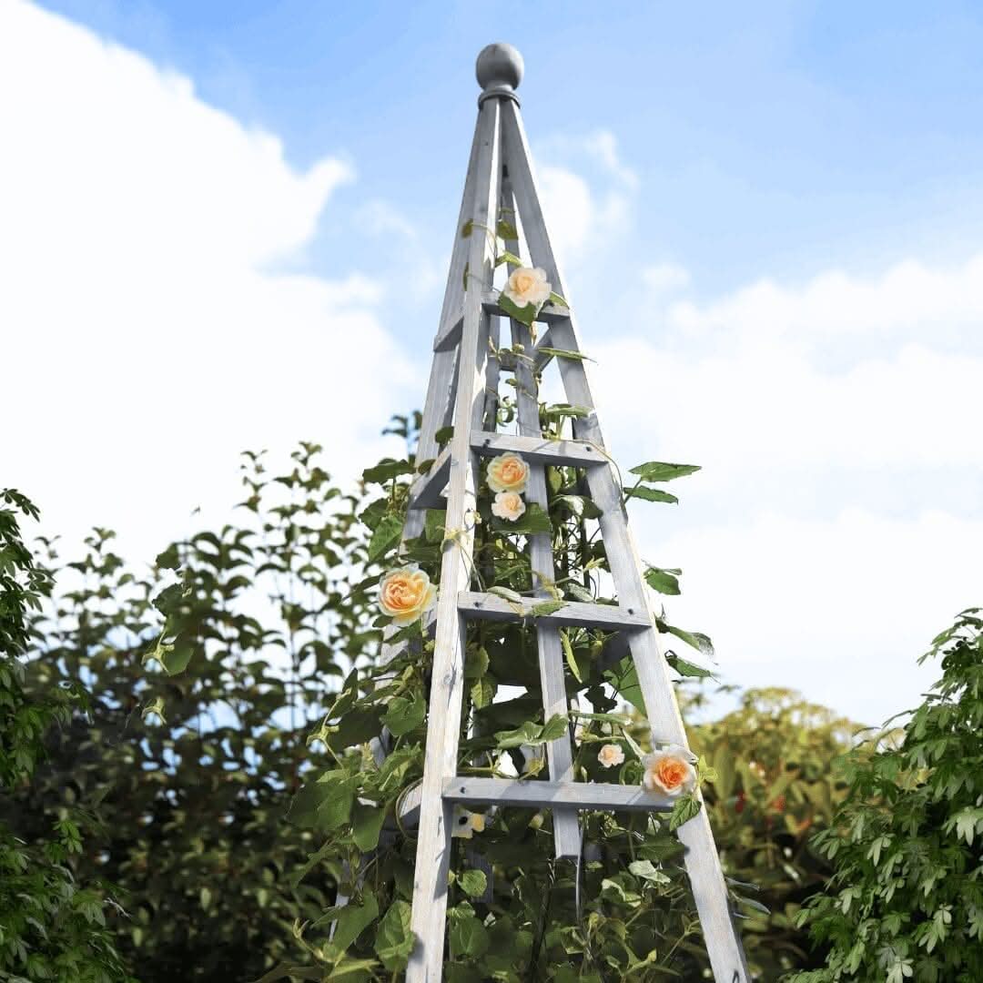 Grote Tuin Salie Obelisk Buitenboog Zware Duurzame Sterke Houten Plantenkooi