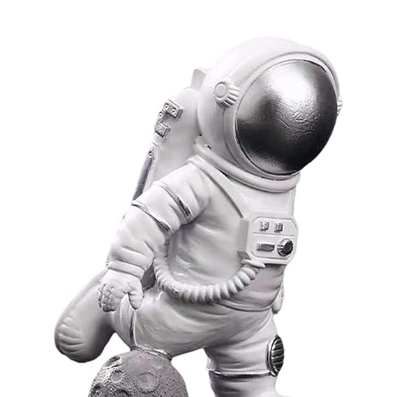 Astronaut Ruimtevaart Naar de Maan