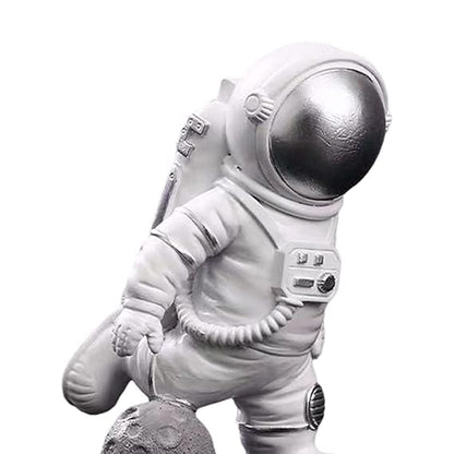 Astronaut Ruimtevaart Naar de Maan