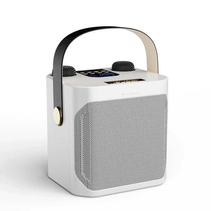 Draagbare Karaoke Boombox