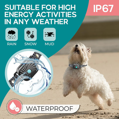 BelloSilent Antiblaffhalsband voor kleine honden | Met geluid & trilling | IP87 Waterdicht | Verstelbaar & zacht in training