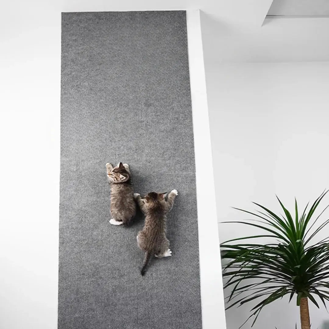 ClawCare Meubelbeschermer & Kattenkrabpaal Speelgoed