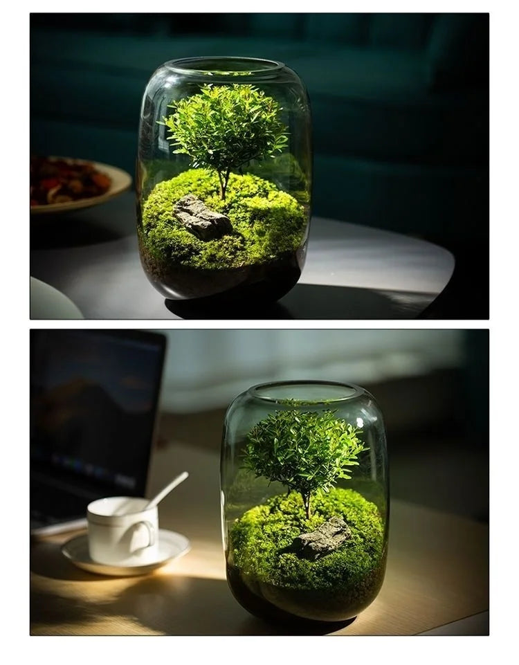 Miniatuur Natuur in Glazen Vaasje