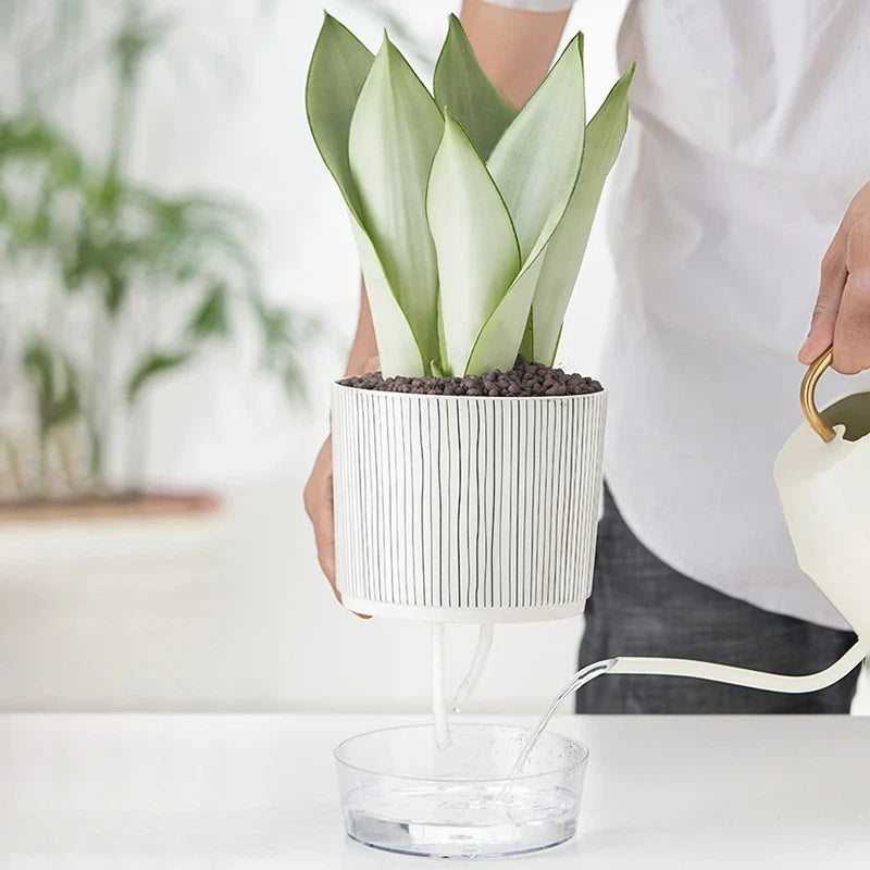 Evergreen Flow Zelfwatergevende Plantenbak