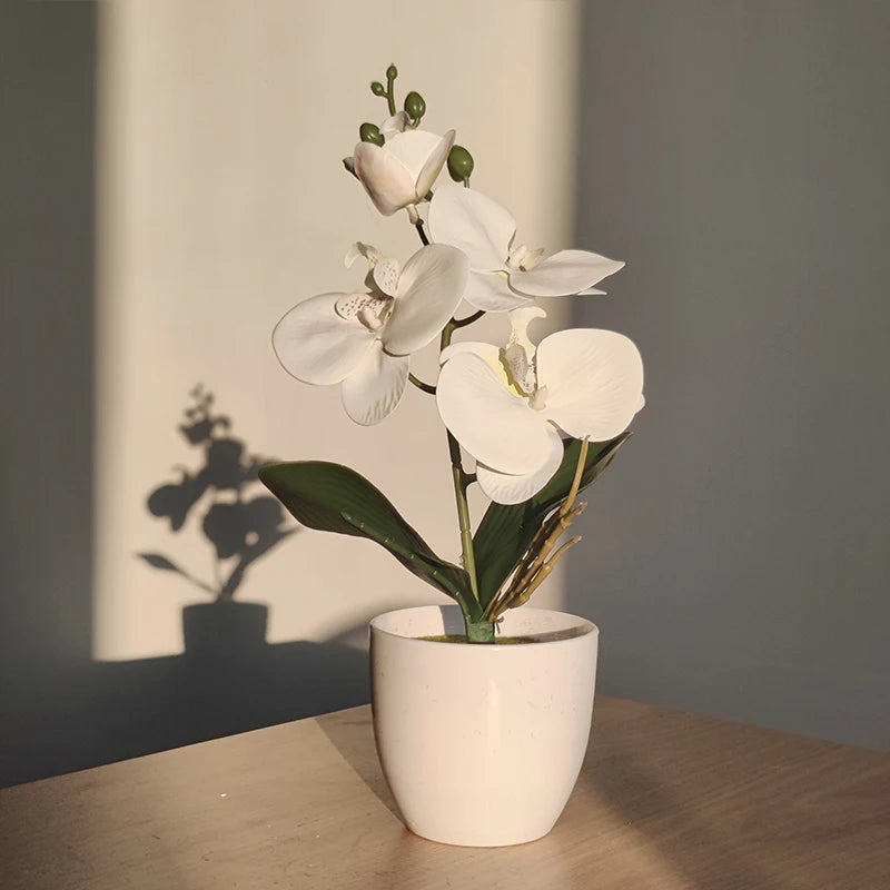 Realistische Vlinderorchidee Bonsai voor Tafel