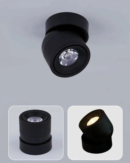 LED Dimmable Spotlamp