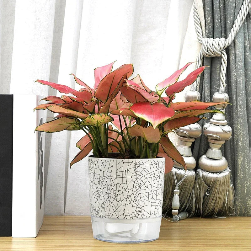 Evergreen Flow Zelfwatergevende Plantenbak