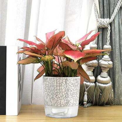Evergreen Flow Zelfwatergevende Plantenbak