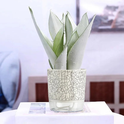 Evergreen Flow Zelfwatergevende Plantenbak