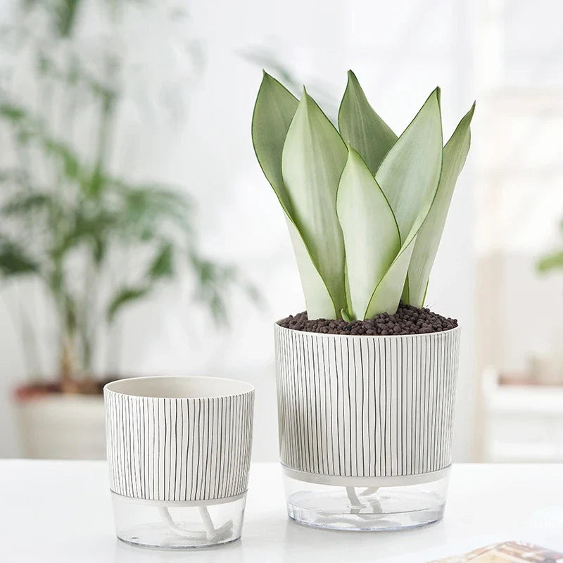 Evergreen Flow Zelfwatergevende Plantenbak