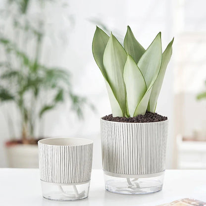 Evergreen Flow Zelfwatergevende Plantenbak