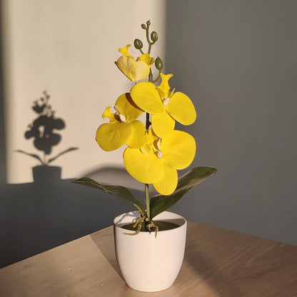 Realistische Vlinderorchidee Bonsai voor Tafel