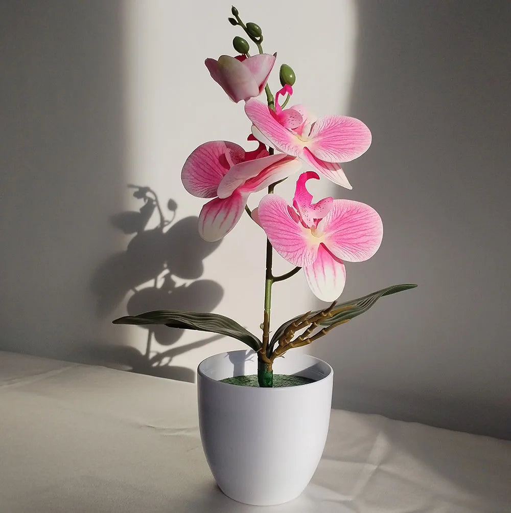 Realistische Vlinderorchidee Bonsai voor Tafel