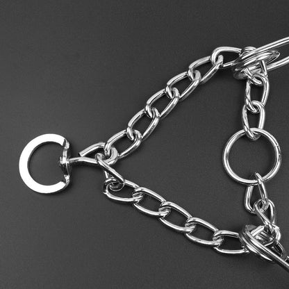 Honden Prong Halsband - Stijlvol B