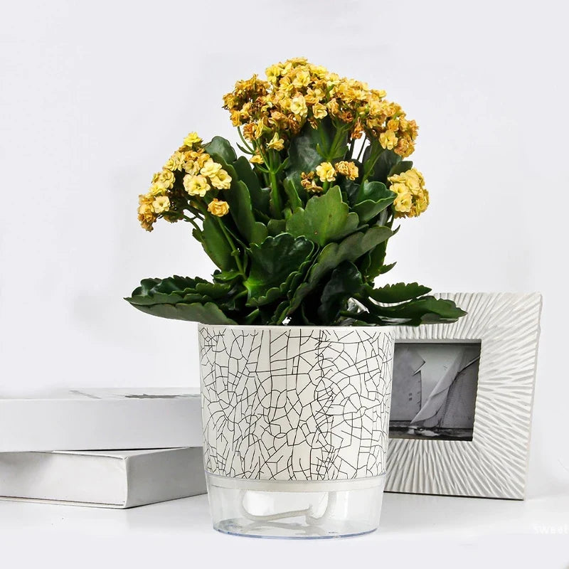 Evergreen Flow Zelfwatergevende Plantenbak