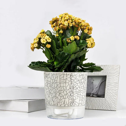 Evergreen Flow Zelfwatergevende Plantenbak