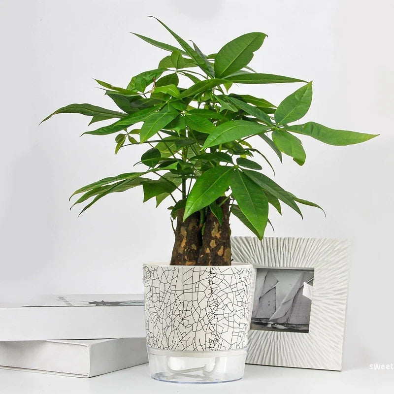 Evergreen Flow Zelfwatergevende Plantenbak