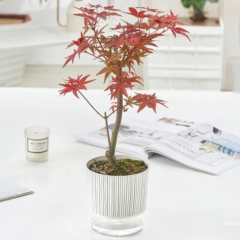 Evergreen Flow Zelfwatergevende Plantenbak