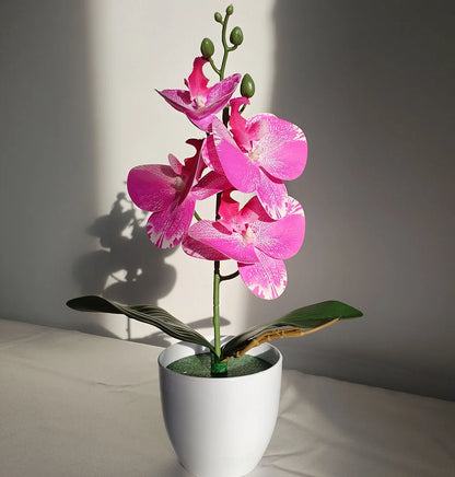 Realistische Vlinderorchidee Bonsai voor Tafel