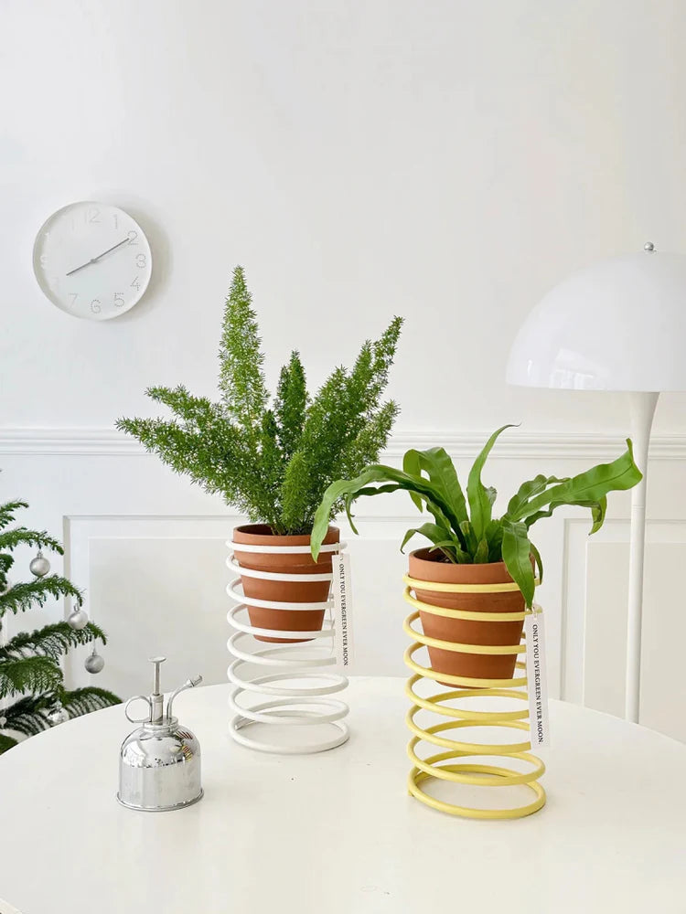Lente Draad Plantenstandaard