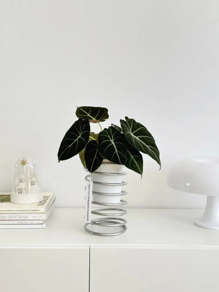 Lente Draad Plantenstandaard