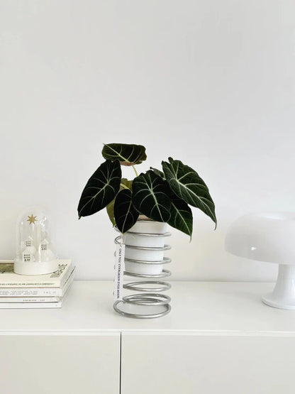 Lente Draad Plantenstandaard