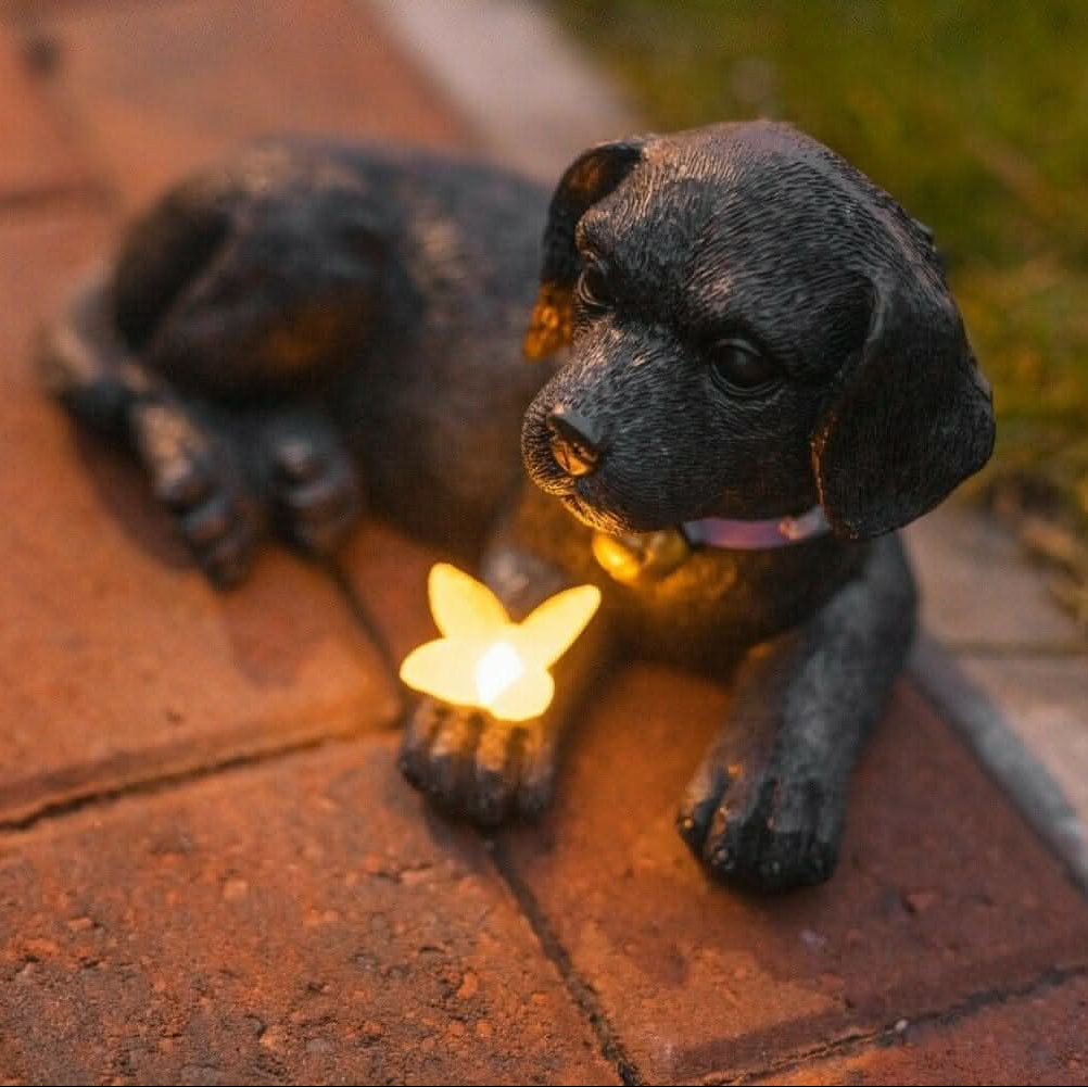 Puppy Standbeeld met Zonne-licht