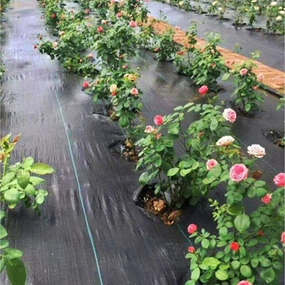 Zware Weed Control Fabric 100gsm