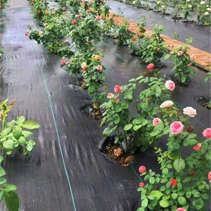 Zware Weed Control Fabric 100gsm