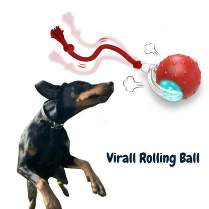 Rollende Bal Speelgoed