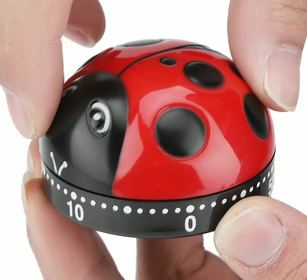 Lieveheersbeestje Keukentimer