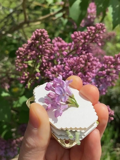 Mini Bloemenpers | Compacte Botanische Aandenkenmaker | Draagbaar Knutselgereedschap