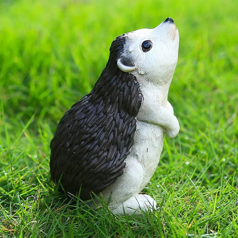 Dieren Tuin Beelden
