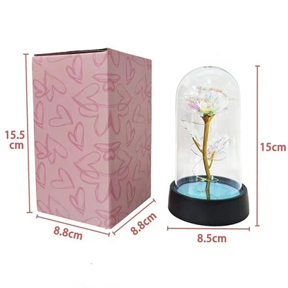 Eeuwige Roos LED Romantisch Cadeau