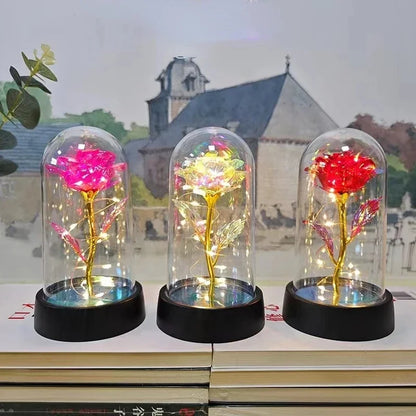 Eeuwige Roos LED Romantisch Cadeau