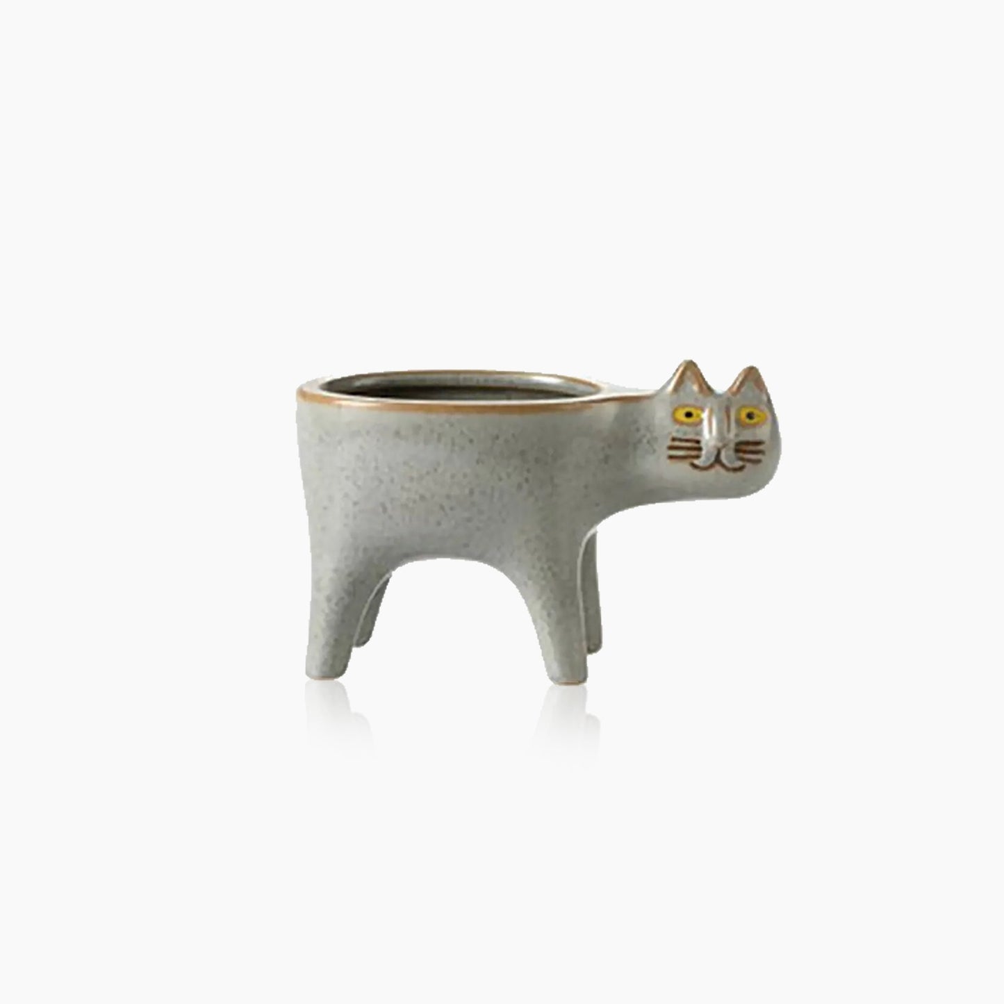 Kattenstaart Bloempot
