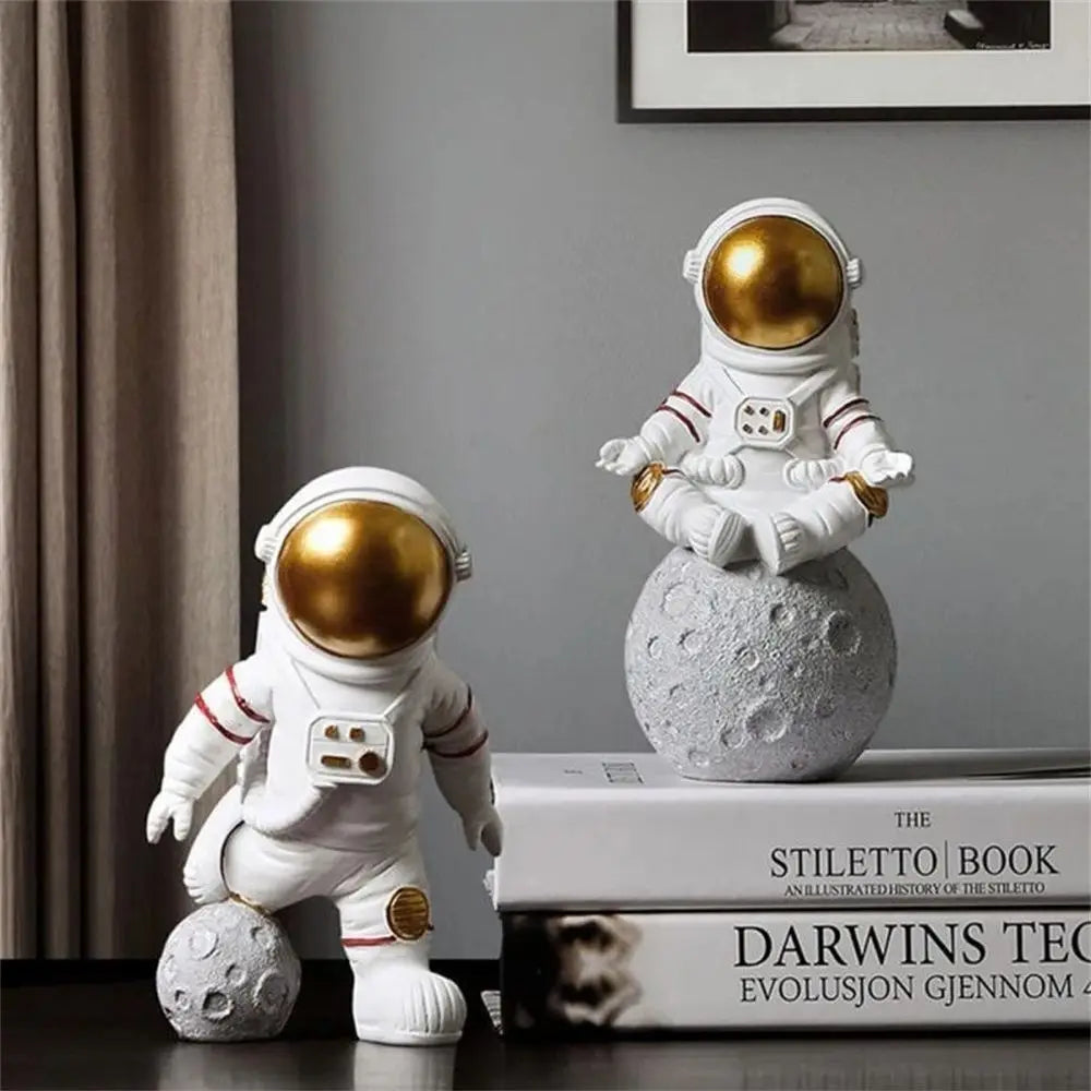 Astronaut Ruimtevaart Naar de Maan