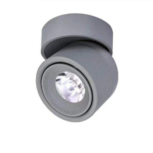 LED Dimmable Spotlamp